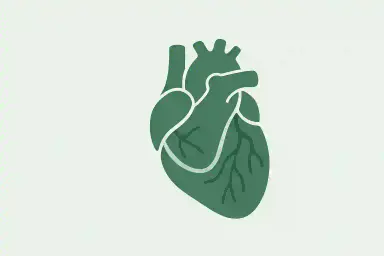 CABG Heart Surgery